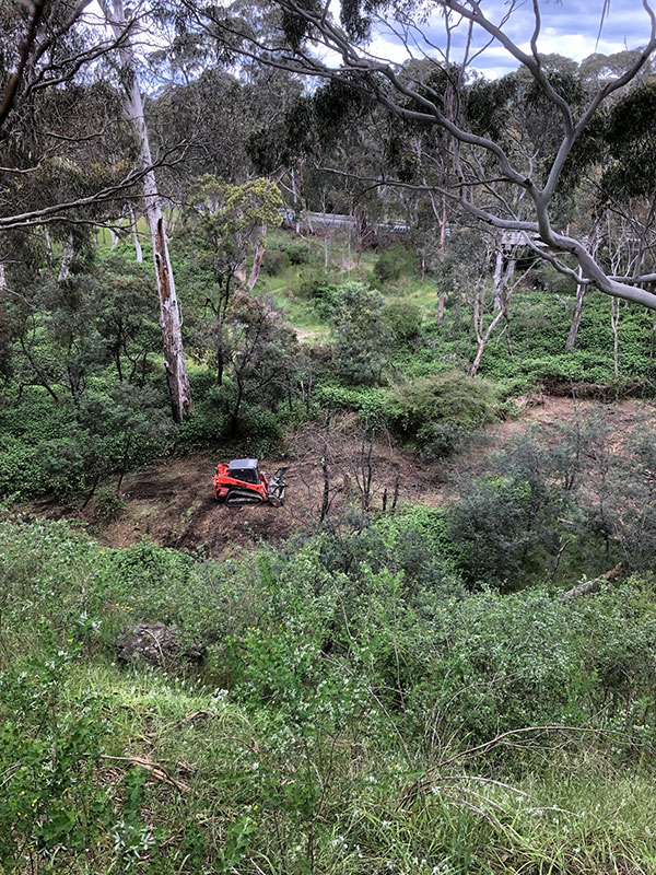 Land clearing and forestry mulching